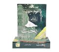 Bakht Novel By Mehrunnisa Shahmeer. 