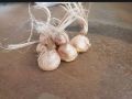 Original Germinated Saffron Bulb seeds pack of 3 saffron bulb. 