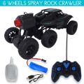 Remote control jeep spray
rock crawler. 