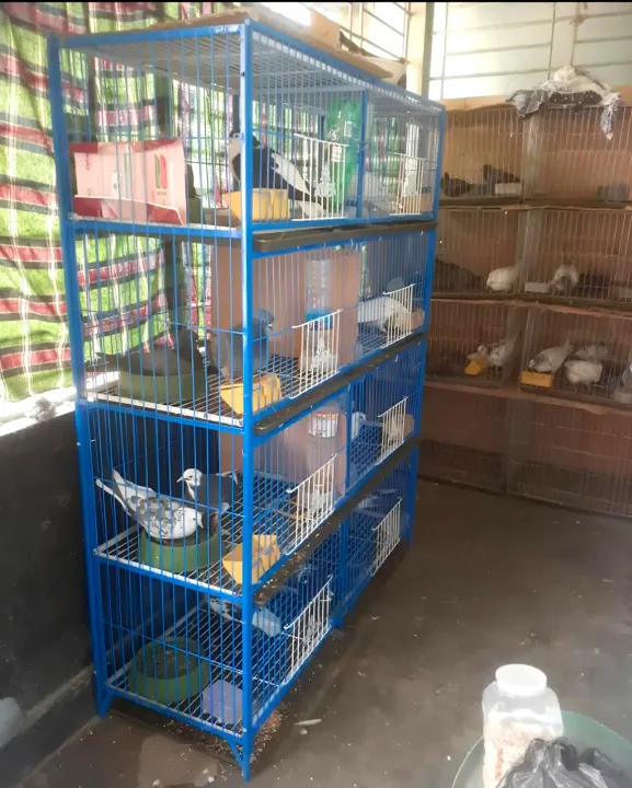 8%20Floor%20Nut%20System%20Folding%20Cage%20Made%20by%2013no%20Wire%20With%20plastic%20coded%20on%20China%20Model%20Pigeon%20Cage%20Each%20Floor%20Cash%20On%20Delivery%20Available%20-%20Image%208