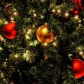 SALCAR 2m*8 LED Weihnachtsbeleuchtung mit Ring Überwurf Lichterkette 10 Girlande. 