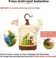 Cute Mini Bird Cage Toy|Recording Function Bird Cage Toy For All|Best Gift Item For Kids|Voice Control  Cute Mini Bird Cagerc |Recording Function Automatically  Play|kotha bola auto pakhir khacha bacchader jonno. 