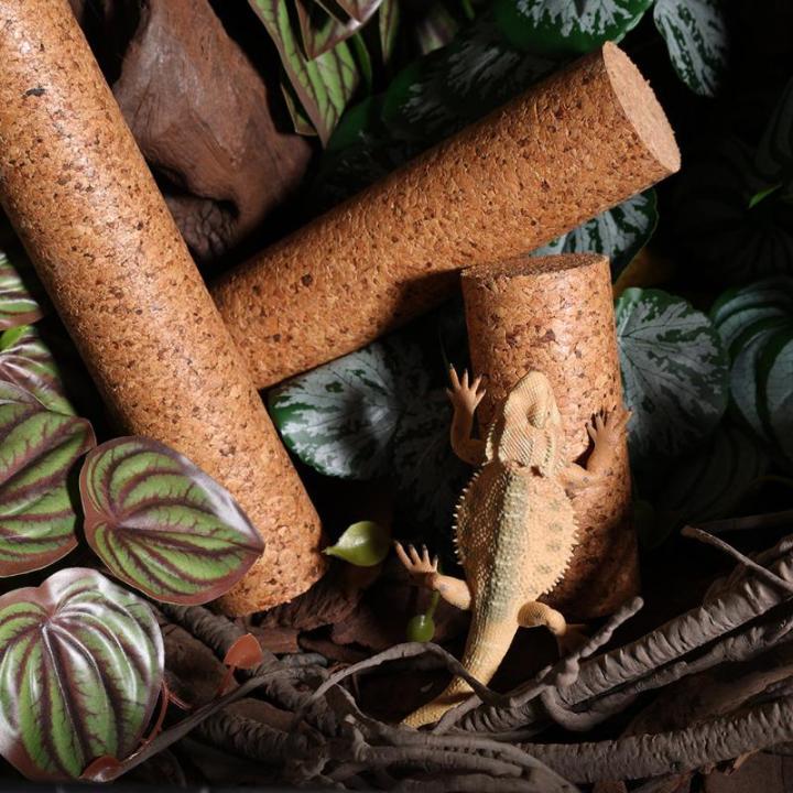 [E] Reptile Soft Wood Climbing Branch Wooden Toy Decor Terrarium Rack ...