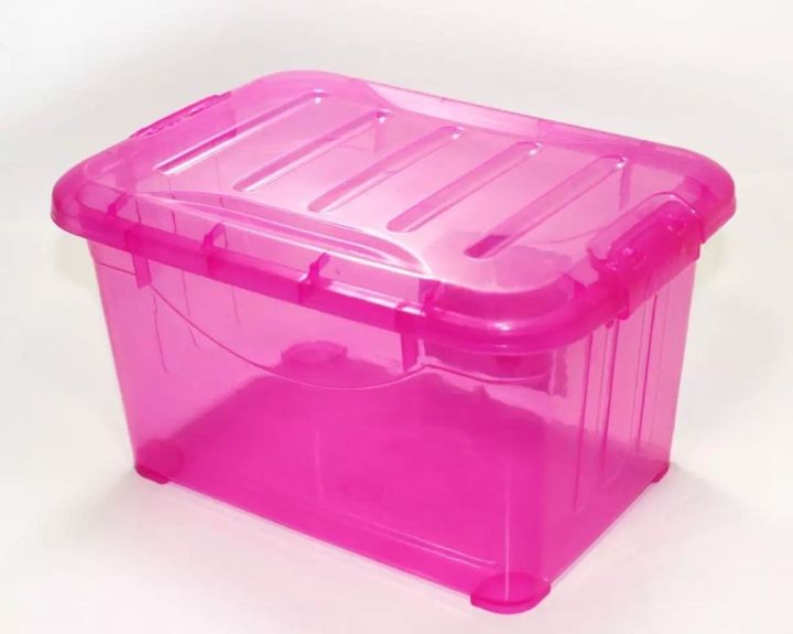 Crystal Plastic Storage Boxes with Lids
Multicolor