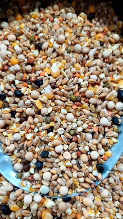 Bhanga%20Vutta%20soho%20homa%20mix%20Pigeon%20Bird%20Dove%20Mix%20-%201kg%20-%20Image%205