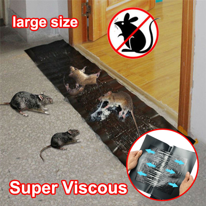 Rat Killing Magic Carpet – 120 x 28cm Invisible Mouse & Rodent Glue ...