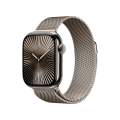 Apple Watch Series 10 Titanium Edition. 