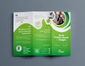 Customized Flyer/Brochure (A5 size) Qty: 1000pcs. 