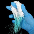 50Pcs Dental Floss Tootick Water Expanded Orthodontic Flosser Multifunctional Cleaning Wire Line Implants Braces Threaders. 