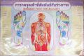 Massage foot reflexology poster 32 inches Width 22 inches height rectangle. 