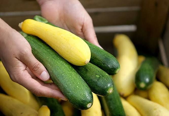 Squash%20Seed%2010%20pcs%20Hybrid%20-%20Mix%20Color%20-%20%E0%A6%B8%E0%A7%8D%E0%A6%95%E0%A7%8B%E0%A7%9F%E0%A6%BE%E0%A6%B6%20%E0%A6%AC%E0%A7%80%E0%A6%9C%20-%20Image%205