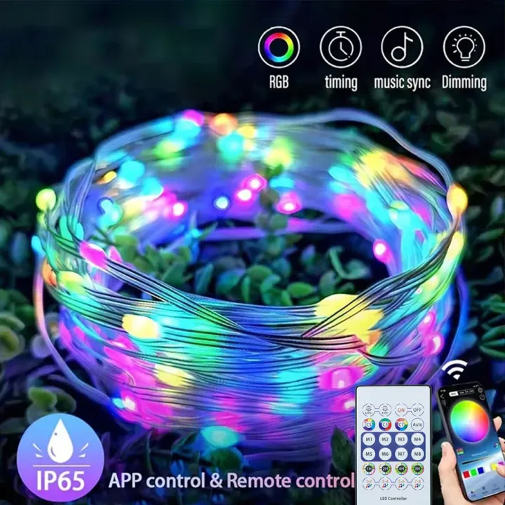 WS2812B RGB LED String 20m 10m 5m DIY Smart IC APP Bluetooth Remote ...