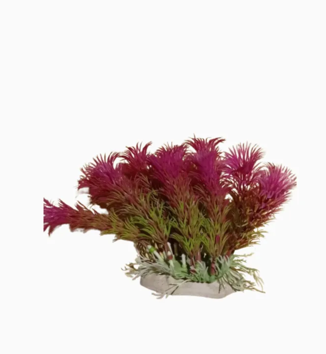Aquarium%20artificial%20plant%20-%20Image%202