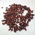 Bahi dana /Quince seeds 50 gm. 