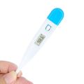 Digital Thermometer With Alarm. 