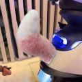 Remote Control Electric Wagging Fox Tail for Scooter Plush Faux Fur Car Rear Decoration Moving Animal Tail Accessory. 