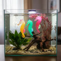 Fish Tank Aquascape Decorations Simulation Glow in Dark Silicone Seahorse With Suction Cups Aquarium Landscape Decorations. 
