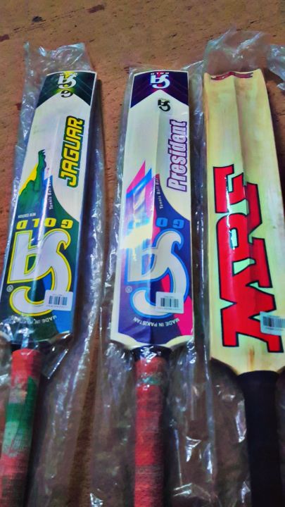 BATS%20CRICKET%20-%20Image%202