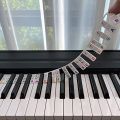 Piano Notes Guide for Beginner, Removable Piano Keyboard Note Labels for Learning, 88-Key Full Size, No Need Stickers, Reusable. 