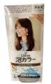 Premium Kao Liese Foam Hair Color 7 Color Shade To Choose From Salon Finish Made In Japan. 