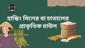 Astha Premium Bashmoti Rice 10 Kg. 