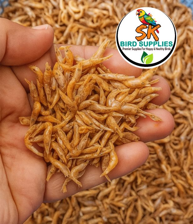 1kg%20Dried%20Small%20Prawns%20/%20Sookha%20Jheenga/%20Dried%20Small%20Shrimps%20/%20Sukha%20Jhinga%20for%20Birds,%20Poultry,%20Fish,%20Turtles,%20Reptiles%20Etc%20-%20Image%202