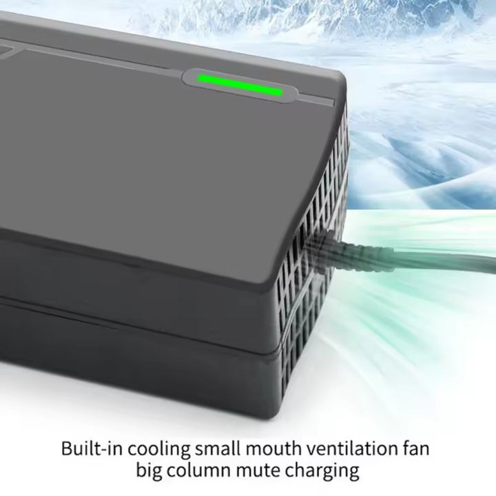 12V%2020A%20Smart%20Battery%20Charger%20for%20Lifepo4%20Lithium%204S%2014.6V%20Fast%20Charger%20For%20iron%20Lithium%20Phosphate%20Battery%20Charging%20Pack%20-%20Image%205