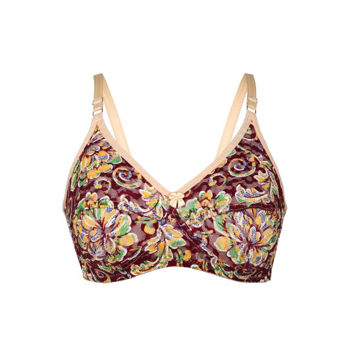 Net Fancy Bra -Net Fabric Brazzers