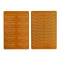 Silicone Practice Skin Permanent Makeup Training Latex Sheet Both Side Print with Brows and Lip Design for Beginners. 