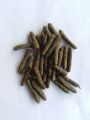 long pepper/filfil draz/ magha / 100 % natural/ 50 GM   فلفل دراز / مگھاں. 