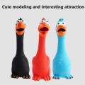 New Squeak Dog Toy Chew Bone Squeaky Ball Chicken Sound Dog Toys Tooth Grinding Training Pet Toy Supplies  Dog Accessories. 