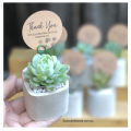 Mini cactus vase for home decor also plantable or other useable(without plant). 
