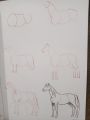 Draw 50 Horses (Draw 50). 