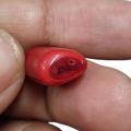 Italian Red Coral | Lal Marjan Stone 16 Ct.. 