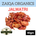 Jawitri • Mace Spice • Javitri | Jalwatri - 40 gm - ZAIQA ORGANICS. 