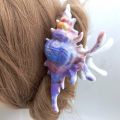 High Quality Plastic Wave Crab Claw Clips conch ocean design Shark Hair Clips Geometry High Ponytail Barrette Hairpin.