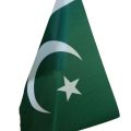 PAKISTAN FLAG WITH HAND FOR INDEPENDENCE DAY-12 PIECES. 