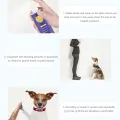 Anti-dog Urine Spray for Dogs and Cats To Urinate Indiscriminately To Prevent Dogs From Peeing and Cat Repellent 120ml. 