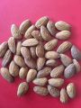 Badam Magaz(Almond). 
