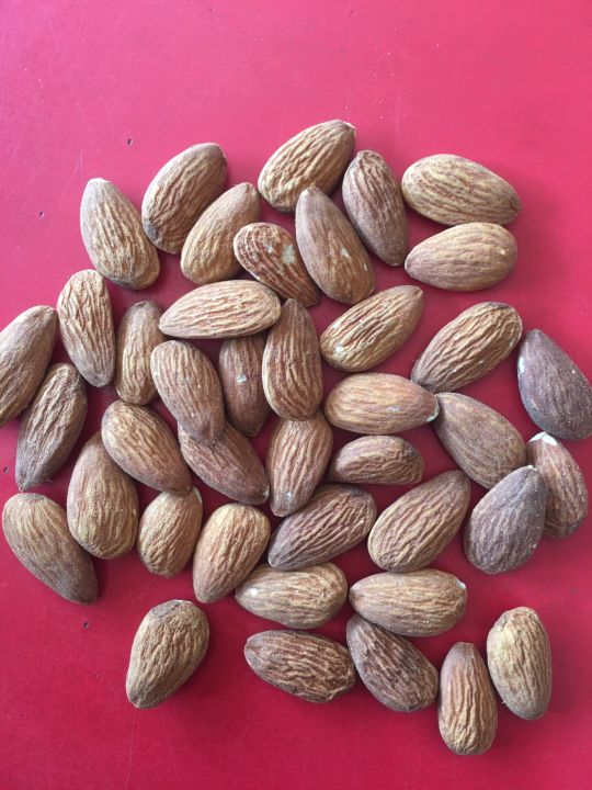 Badam Magaz(Almond)
