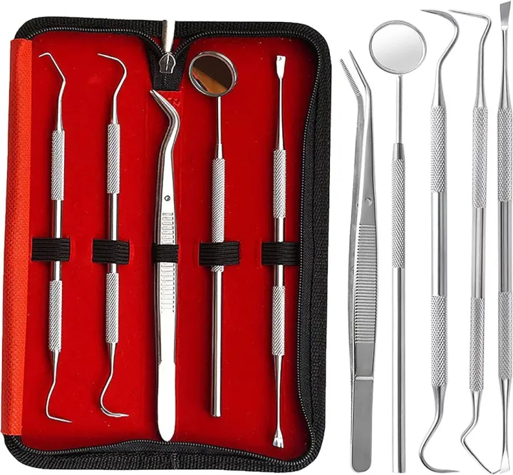 6pcs Stainless Dental Mirror Set Sickle Tartar Scaler Teeth Pick