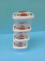 storage container/ food box /5  piece plastic container set. 