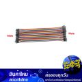Jumper Cable 40P, Male-Male, Length 20 Cm. Wire Cable Jumper Connector Male to Male Ribbon Cable Board Plug Cable Jumpboard Cable Arduino Avr Pic Module Board Connection Cable. 