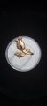 Fashion Flower Golden Ring. 