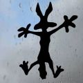 Coyote Silhouette Splat Wile car sticker Funny CCl Decal Vinyl Sticker |MotorcycleHelmet Car Truck Wall Laptop Computer. 