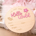 Ylsteed Newborn Photo Prop Wooden Hello World Rabbit Flower Newborn Wooden Hanging prop Cute Birth Board Baby Announcement-HD. 
