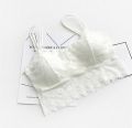 Hot Sexy Bra Female Lace Bralette Sexy Lingerie Underwear Wireless Padded Seamless Ultra Strap Padded Bras for Women. 
