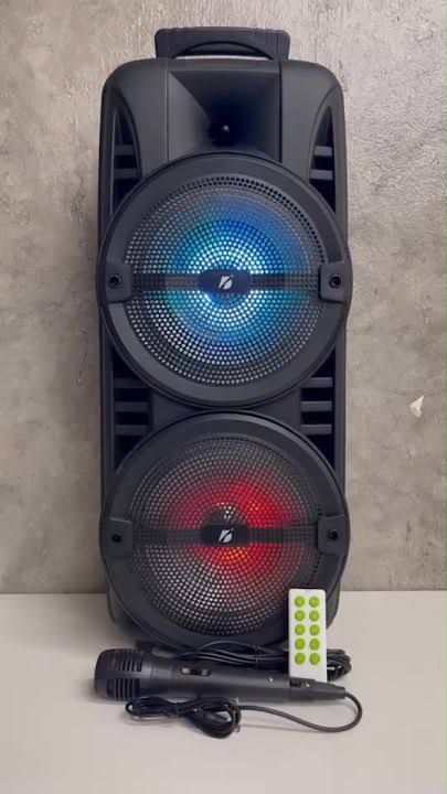KTS 1745 PORTABLE RECHARGEABLE DOUBLE 8 INCH WIRELESS BLUETOOTH SPEAKER