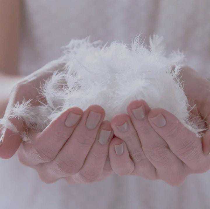 Duck%20Feather%20&%20Down%20Pillow%20100%25%20Pure%20With%20Life%20Time%20Warranty%20-%20Image%206