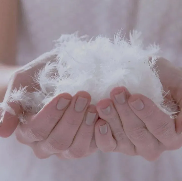 Duck%20Feather%20&%20Down%20Pillow%20100%25%20Pure%20With%20Life%20Time%20Warranty%20-%20Image%206